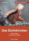 Buchcover Das Eichhörnchen – Kopiervorlagen für die 2. bis 4. Klasse