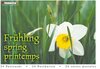 Buchcover Frühling/springs