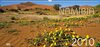 Buchcover Namibia 2010