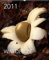 Buchcover Waldpilze 2011