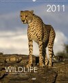 Buchcover Wildlife Namibia 2011