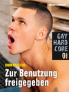 Buchcover Gay Hardcore Quickie 01: Zur Benutzung freigegeben
