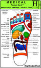 Buchcover Reflexology Therapy - Sole of Foot /Medical Pocket Card