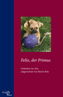 Buchcover Felix, der Primus