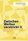 Buchcover Zwischen Welten verstrickt II