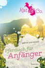 Buchcover Pferdisch für Anfänger