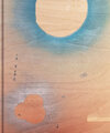 Buchcover Jessica Backhaus