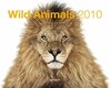 Buchcover Wild Animals 2010