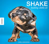 Buchcover Shake – Hundebabys schütteln sich