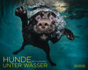 Hunde unter Wasser width=