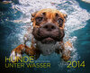 Buchcover Hunde unter Wasser 2014