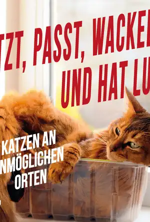 Buchcover ISBN 9783868837803