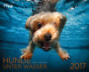 Buchcover Hunde unter Wasser 2017