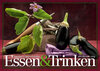 Buchcover Essen & Trinken 2014