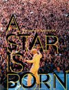 Buchcover A Star is Born - Fotografie und Rock seit Elvis