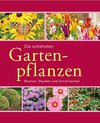 Buchcover Die schönsten Gartenpflanzen: Blumen, Stauden und Ziersträucher (Gartenpraxis und -gestaltung)