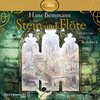 Buchcover Stein und Flöte (ungekürzte mp3-CD)