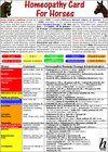 Buchcover Homeopathy Card for Horses