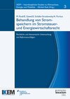Buchcover Behandlung von Stromspeichern im Stromsteuer- und Energiewirtschaftsrecht