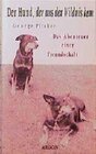Buchcover Der Hund, der aus der Wildnis kam