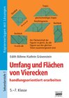 Buchcover Brigg: Mathematik / Umfang und Flächen von Vierecken
