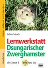 Buchcover Lernwerkstatt / Dsungarischer Zwerghamster