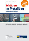 Buchcover Schäden im Metallbau - E-Book (PDF)