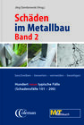 Buchcover Schäden im Metallbau - Band 2