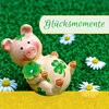 Buchcover Glücksmomente