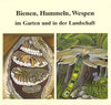 Buchcover Bienen, Hummeln, Wespen im Garten und in der Landschaft