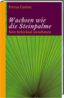 Buchcover Wachsen wie die Steinpalme