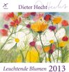 Buchcover Leuchtende Blumen 2013