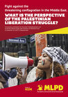 Buchcover What is the perspective of the palestinian liberation struggle?