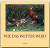 Buchcover Wie das Wetter wird