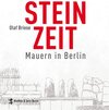 Buchcover Steinzeit