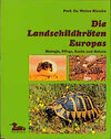 Buchcover Die Landschildkröten Europas