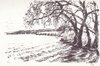 Buchcover Ammersee - Landschaft im Jahreskreis