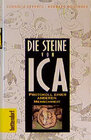 Buchcover Die Steine von Ica