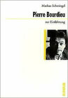 Buchcover Pierre Bourdieu zur Einführung