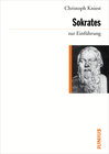Buchcover Sokrates zur Einführung