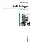 Buchcover Martin Heidegger zur Einführung