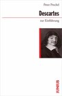 Buchcover Descartes zur Einführung