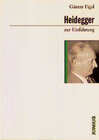 Buchcover Heidegger zur Einführung