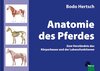 Buchcover Anatomie des Pferdes