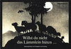 Buchcover Willst du nicht das Lämmlein hüten