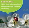 Buchcover Frühling - Nr. 508