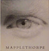 Buchcover Mapplethorpe