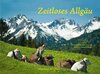 Buchcover Zeitloses Allgäu