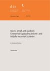 Buchcover Micro, small and medium enterprise upgrading in low- and middle-income countries