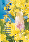 Buchcover Stein und Blüte